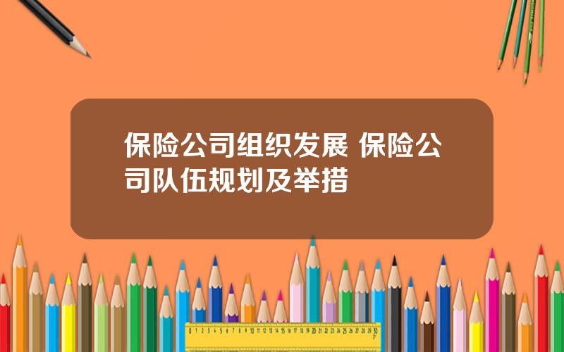 保险公司组织发展 保险公司队伍规划及举措